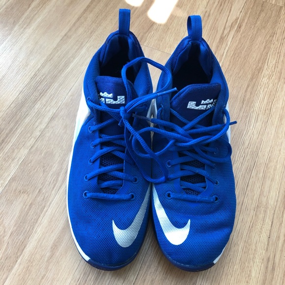 Nike Other - Nike Lebron Zoom Witness Youth Shoes